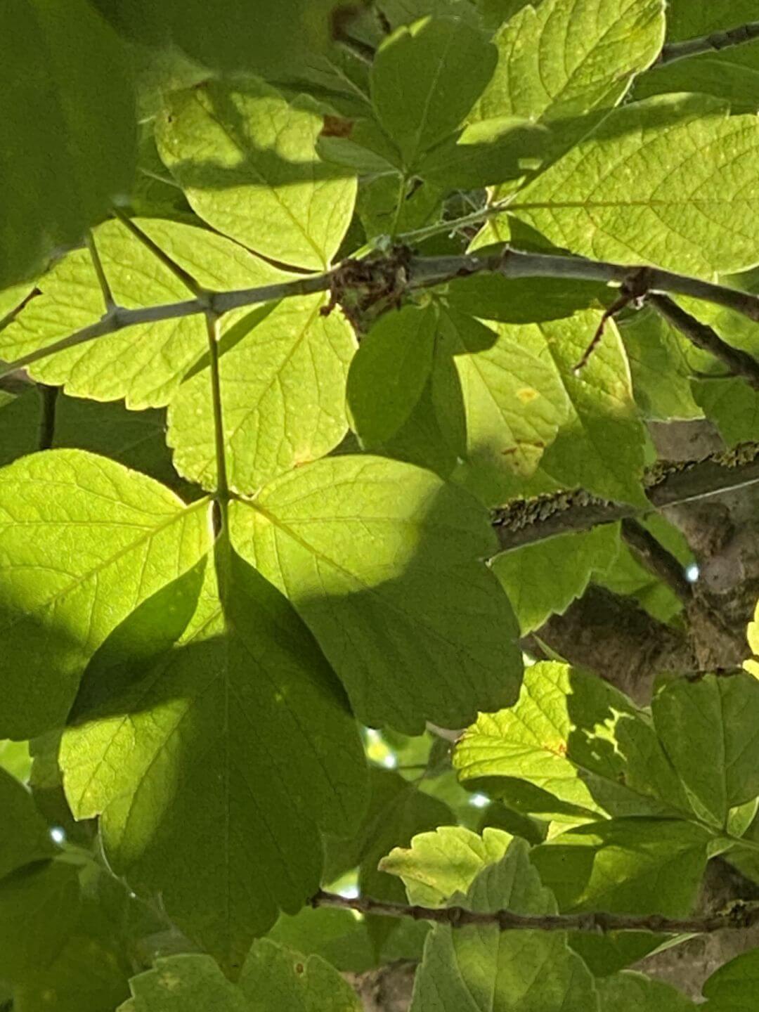 GLOBALBERO-Natur-entdecken-2